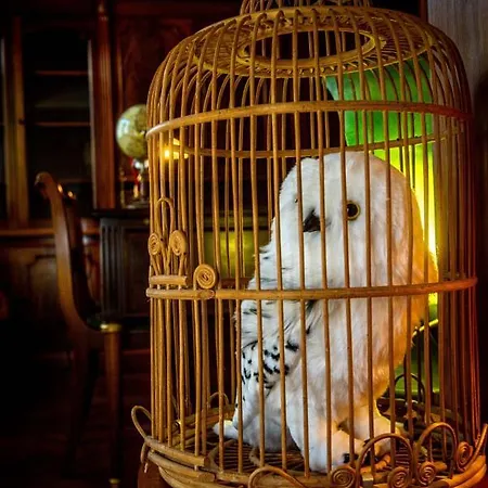 Potter's Place By Ardenne Places 펜션 *