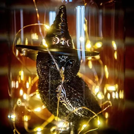 Potter's Place By Ardenne Places