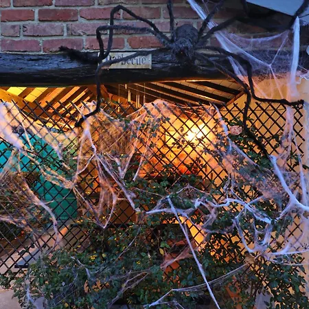 펜션 Potter's Place By Ardenne Places 테욱스