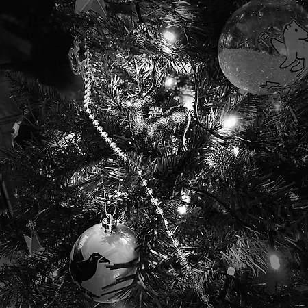 Potter's Place By Ardenne Places 펜션 *